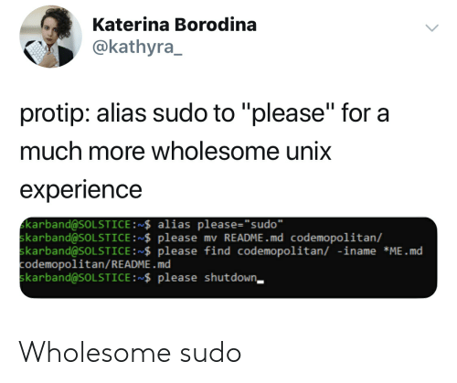 please sudo